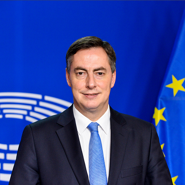 DAVID McALLISTER, MEP